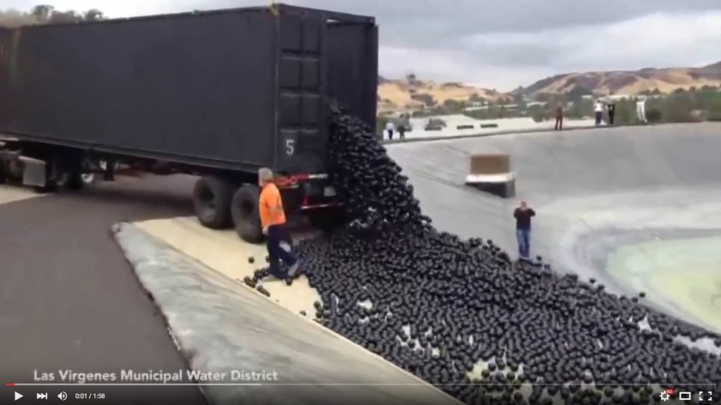 Shade Balls Released Into The La Water Reservoir Ground Water Canada 5083